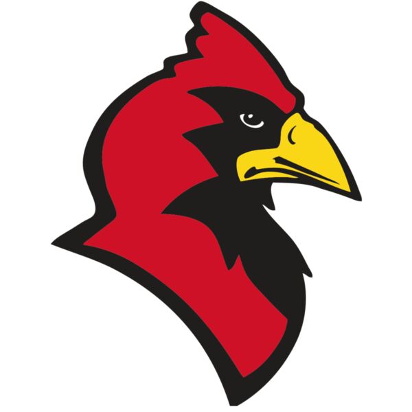 AR CARDINAL 20 RC Thumbnail